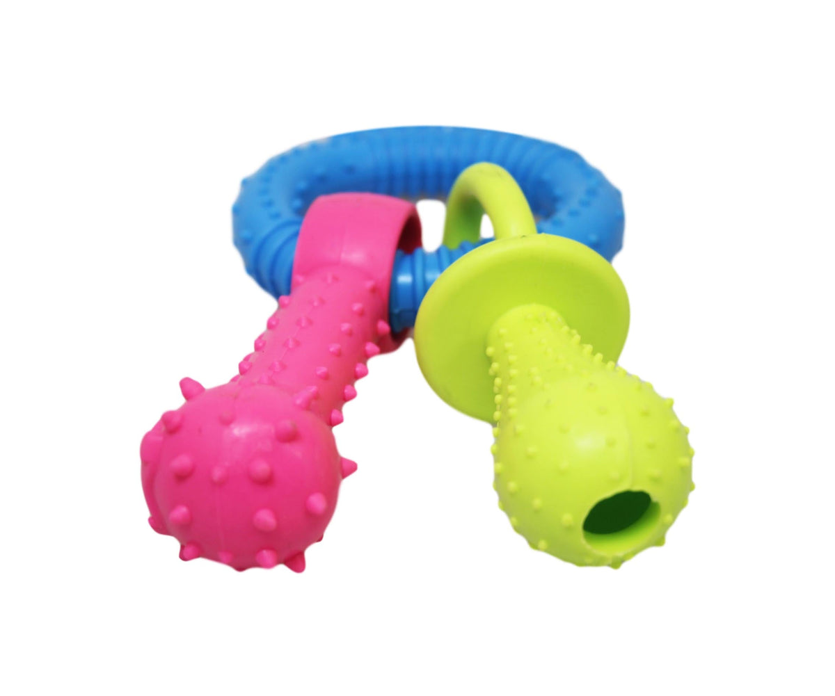 Pet Dog Chewing Toy Dummy Ring With Bone Assorted Colours