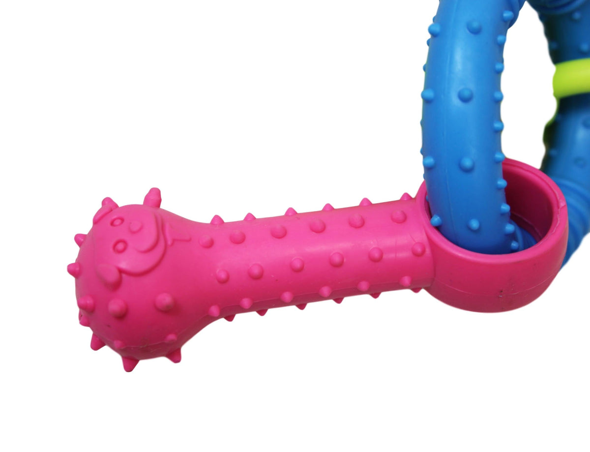 Pet Dog Chewing Toy Dummy Ring With Bone Assorted Colours