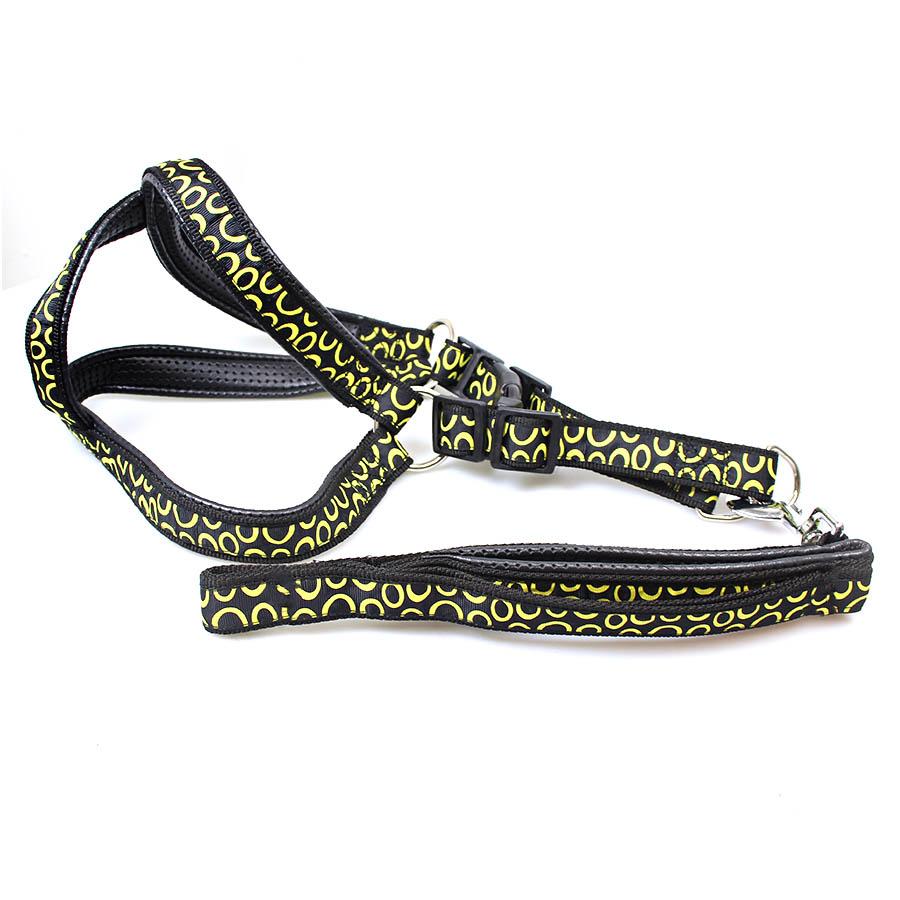 Dog Leash Lead With Harness Printed Design Assorted Designs