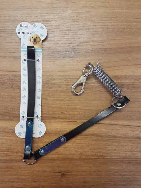 Pet Dog Leash Lead with Buckle Assorted Colours 4620