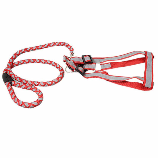 Reflective Dog Leash lead with Harness 100 cm Assorted Colours 0077
