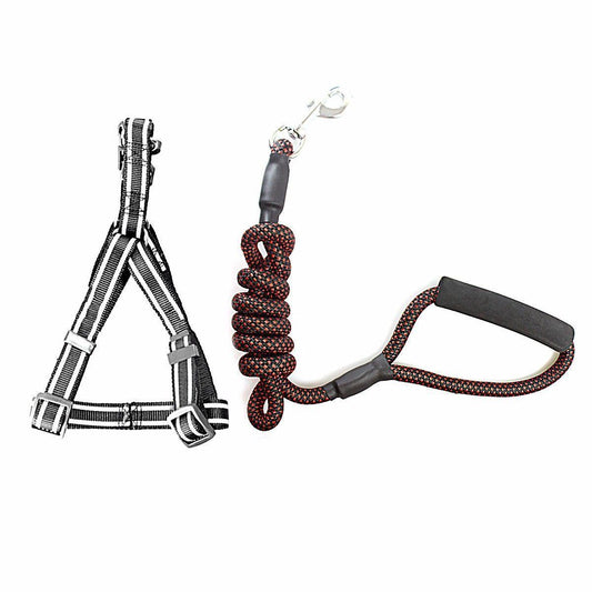Reflective Nylon  Dog Leash lead with Harness Assorted Colours 4266