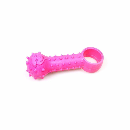Pet Dog Toy Ball and Ring Shaped Bone 10 cm Assorted Colours 1818