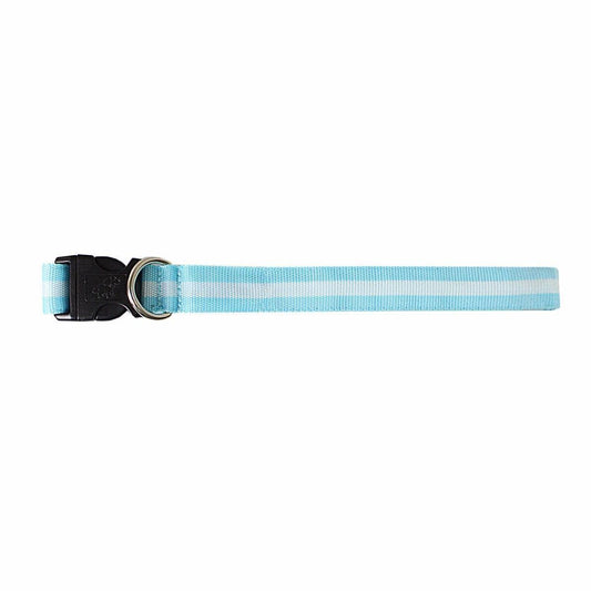 LED Light Up Dog Collar With Buckle Assorted Colours 2255