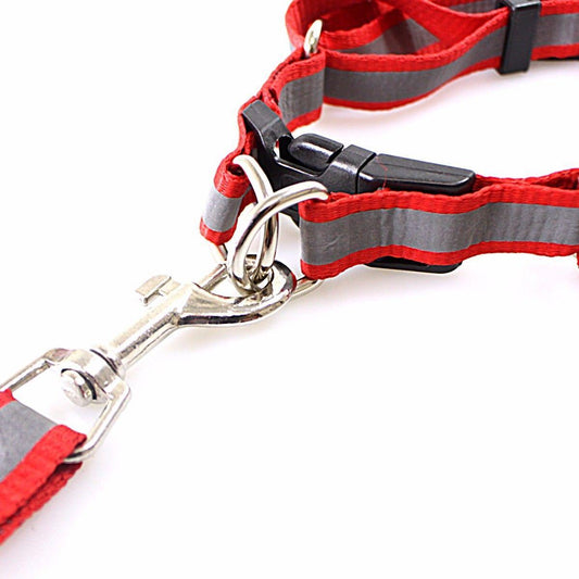 Nylon Bright Lightweight & Reflective Dog Leash With Extra Strong Harness Pet 3199