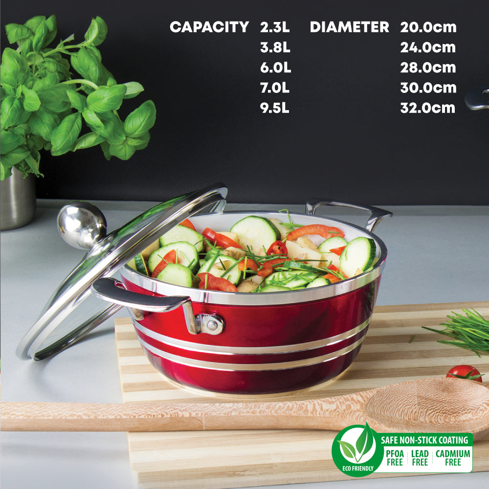 Sq Professional Metallic Die Cast Stockpot Set Of 5 Ruby
