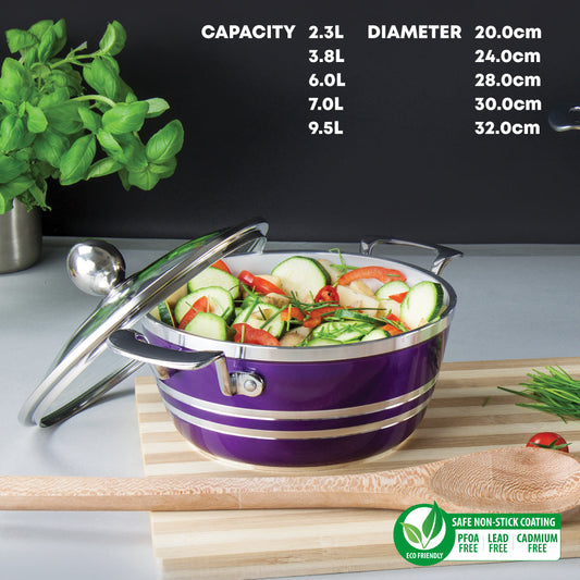 SQ Professional Metallic Die Cast Stockpot Set of 5 Amethyst 4250 A