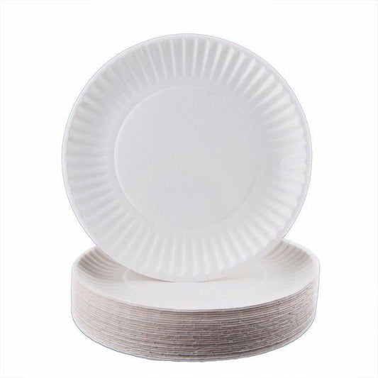 9" Paper Plates Pack of 100 EC0027