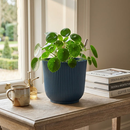 Flower Pot Assorted Colours 331G
