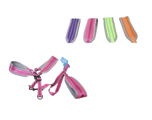 Pet Dog Soft Lead Leash With Harness Assorted Colours