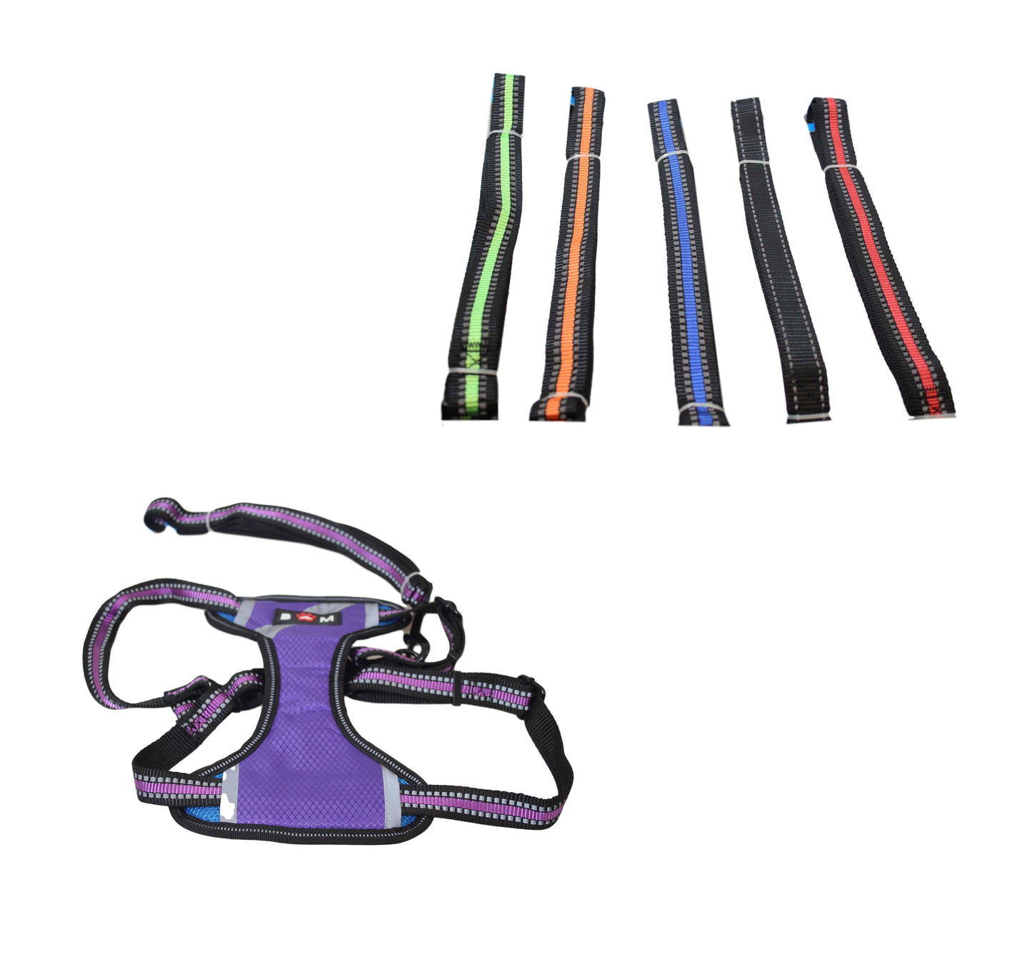 Pet Dog Leads and Harness 29 x 18 cm Assorted Colours 6032