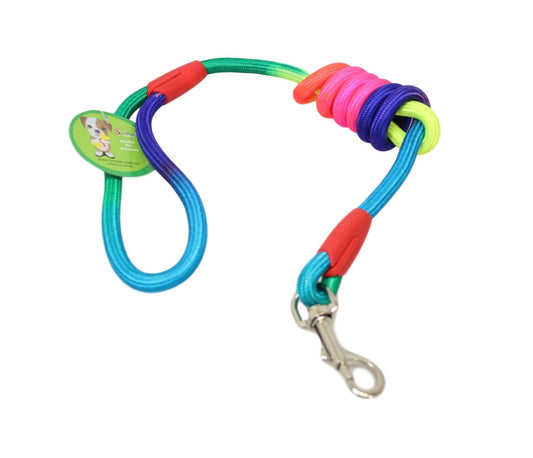 Pet Dog Rope Leash Rainbow Colour