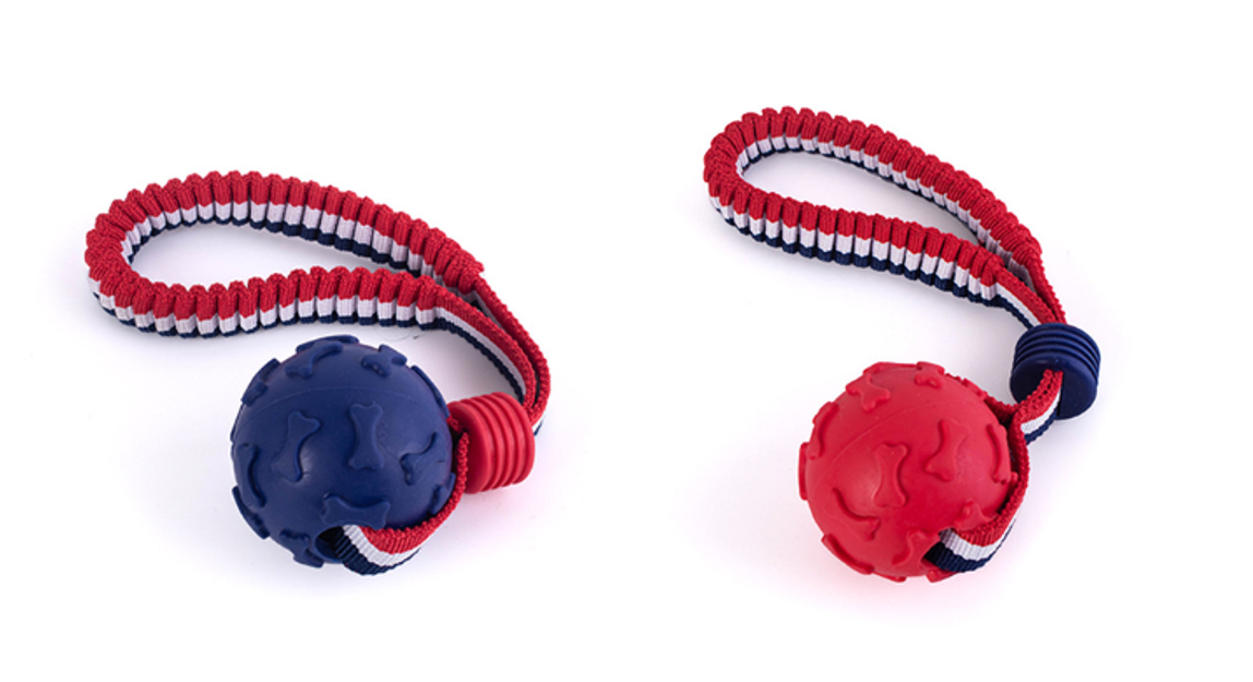 Pet Dog Toy Ball Bone Print With Elastic Rope Assorted Colours