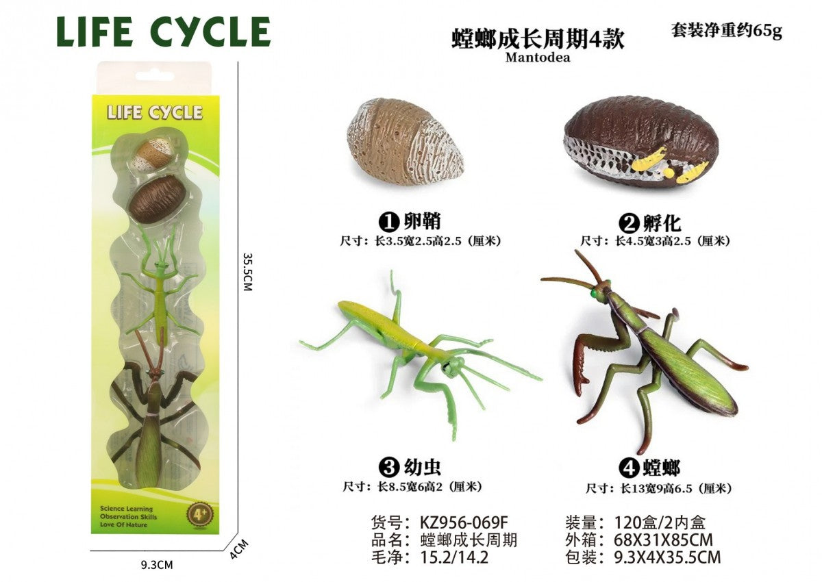 Praying Mantis Life Cycle Montessori Set – Educational Nature Learning Toy For Kids