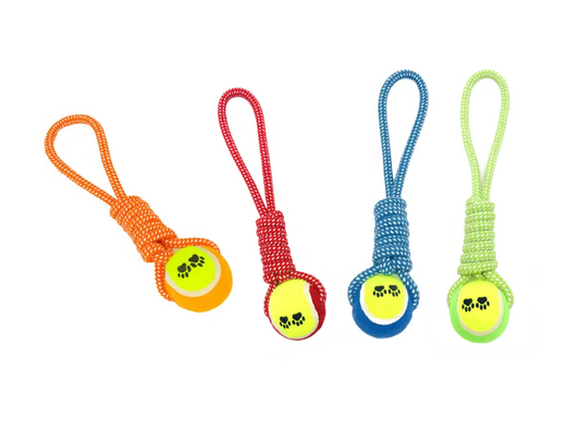 Pet Dog Toy Tennis Ball with Rope 36 cm Assorted Colours 7538