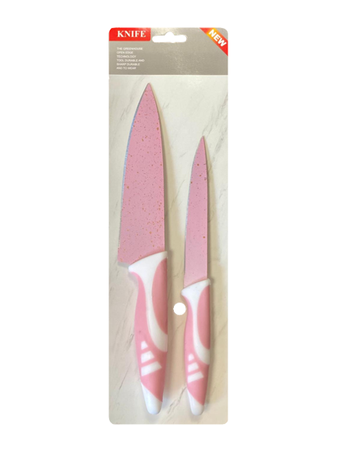 Kitchen Knife With Plastic Handle Set Of 2 Assorted Colours