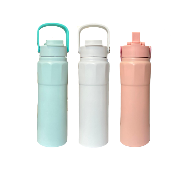 Stainless Steel Water Drinking Travel Thermos Flask Tumbler With Handle 750Ml Assorted Colours