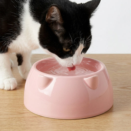 Cat Bowl Assorted Colours 86G