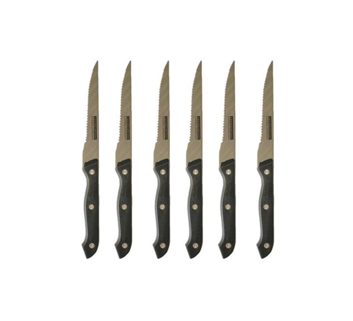 Metal Kitchen Fruit Knife 22.5Cm Pack Of 6 Plastic Handle