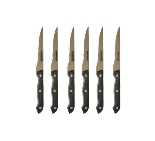 Metal Kitchen Fruit Knife Pack Of 6 Plastic Handle