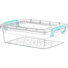 Clear Storage Container Midi Box With Handles 2.20 Litre AK244