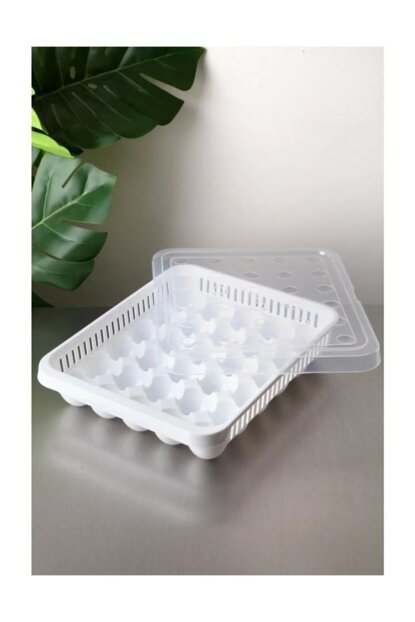 Plastic Egg Storage Container Box 30 Eggs