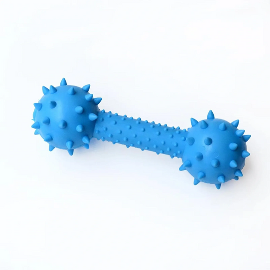 C028 x12 Spikey Barbell