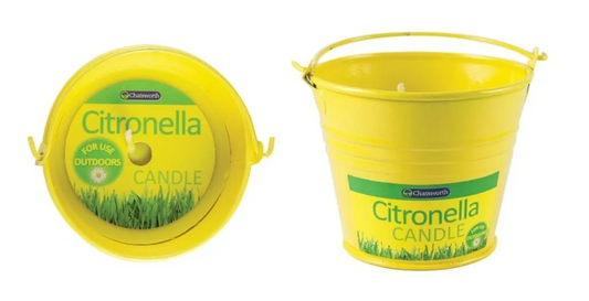 12 PACK CITRONELLA METAL BUCKET CANDLE