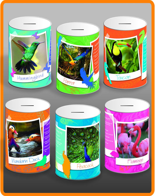6 Assorted Styles Exotic Birds Money Tin 145mm x 110mm EXT001A