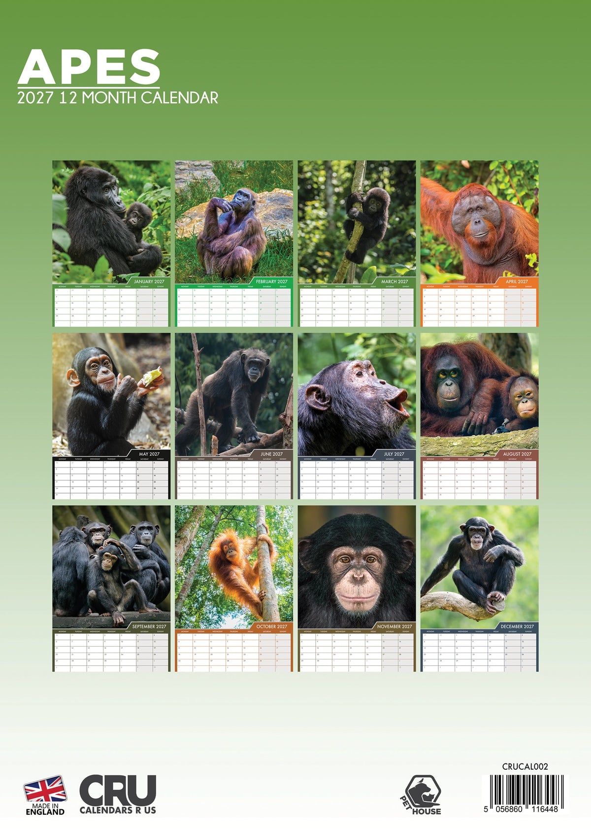 Apes - A3 Calendar 2027