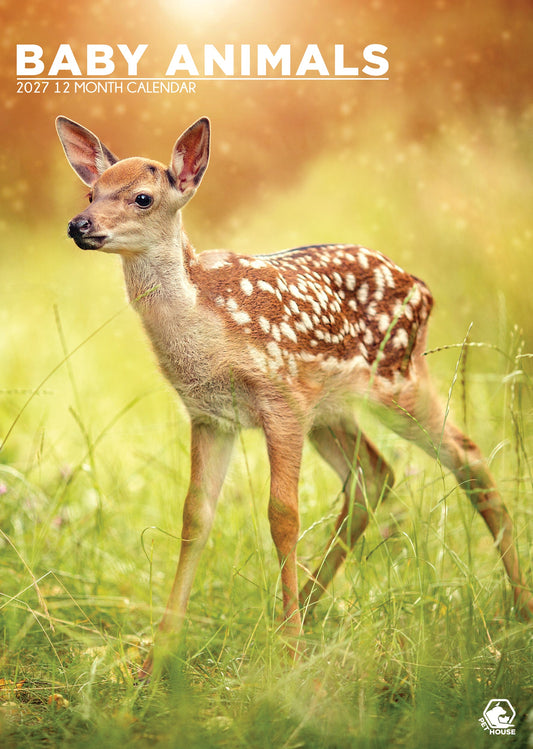 Baby Animals - A3 Calendar 2027