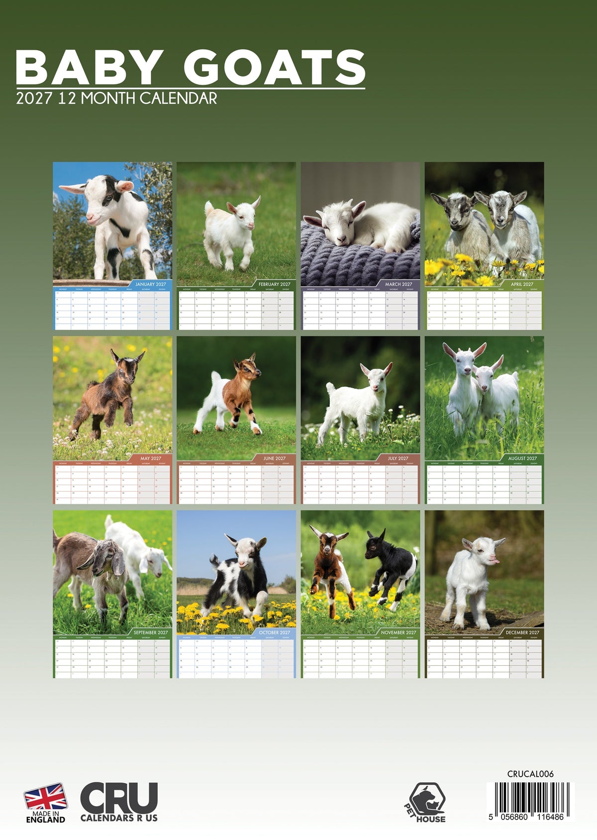 Baby Goats - A3 Calendar 2027