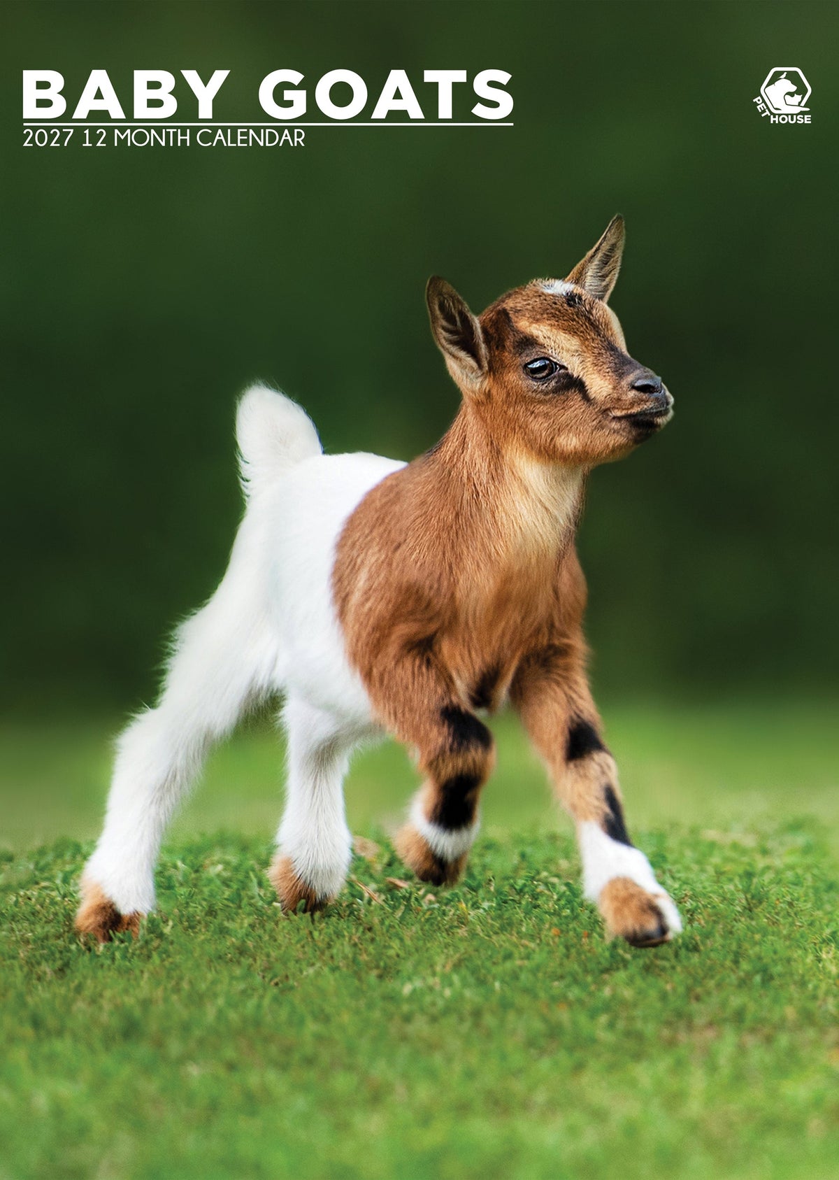 Baby Goats - A3 Calendar 2027