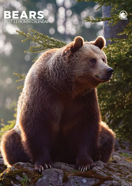 Bears - A3 Calendar 2027
