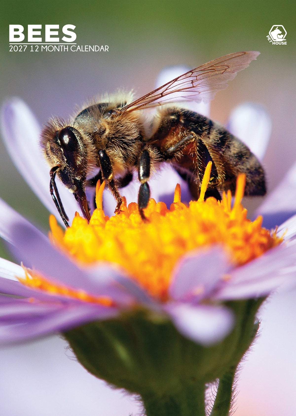Bees - A3 Calendar 2027