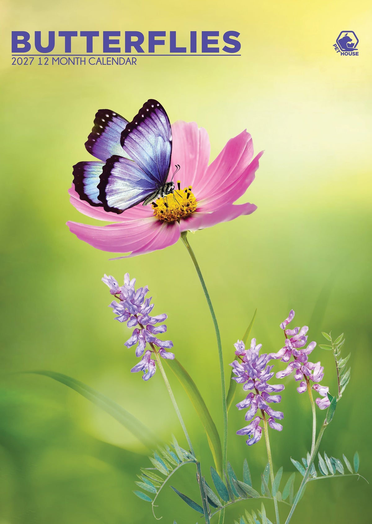 Butterflies - A3 Calendar 2027