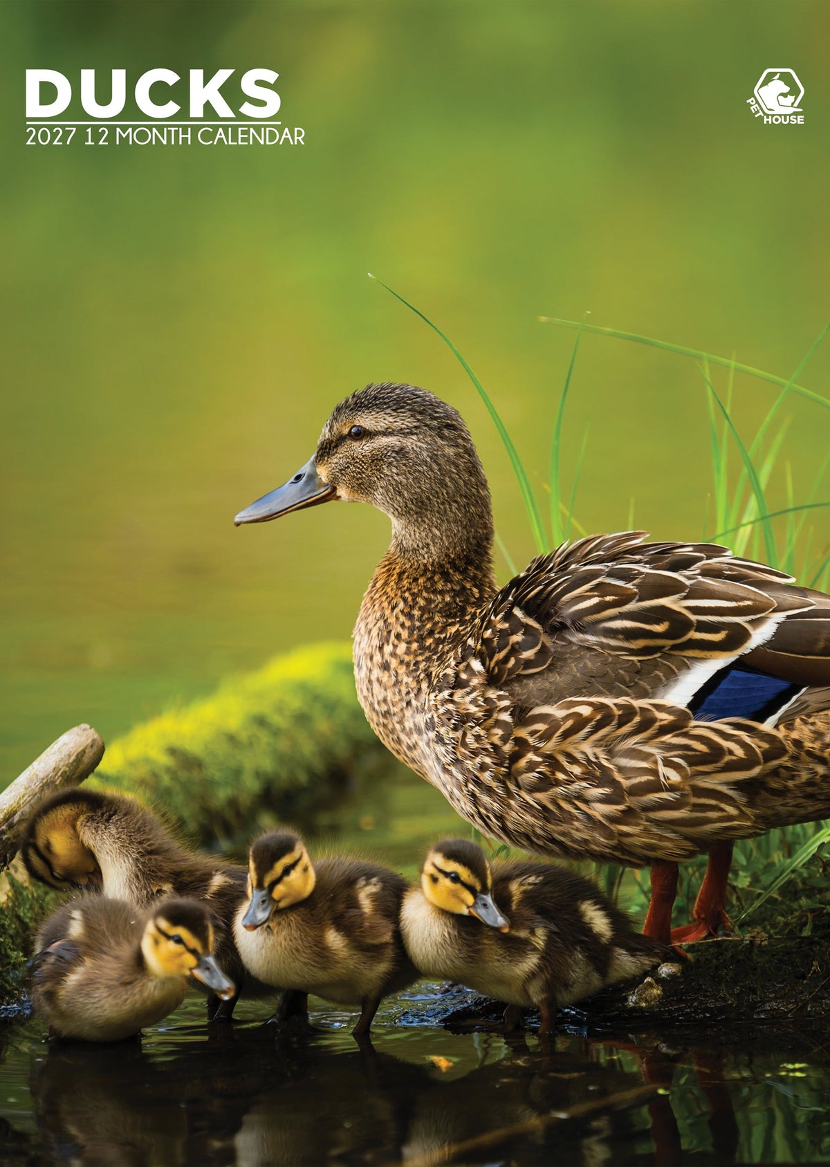 Ducks - A3 Calendar 2027