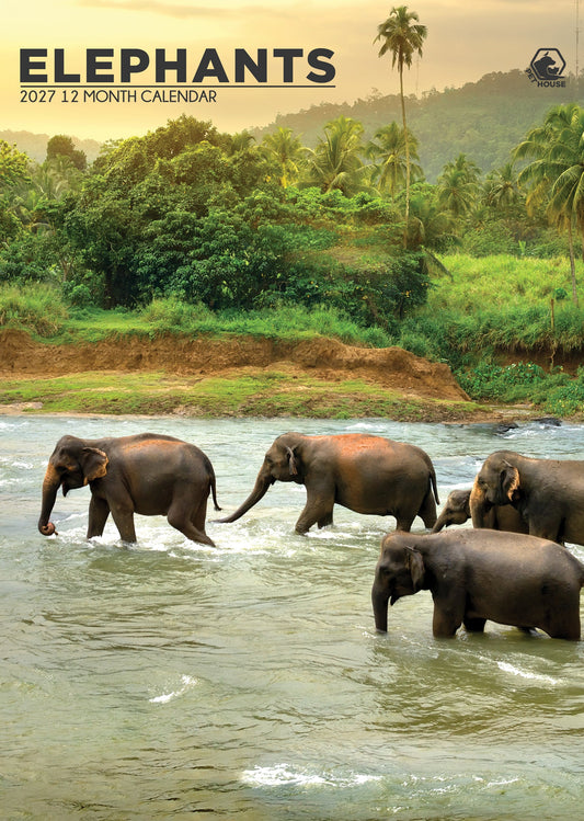 Elephants - Calendar 2027
