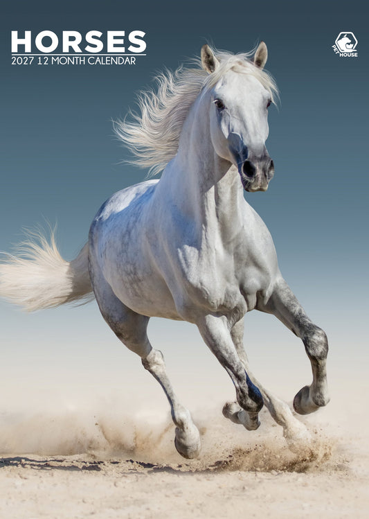 Horses - A3 Calendar 2027