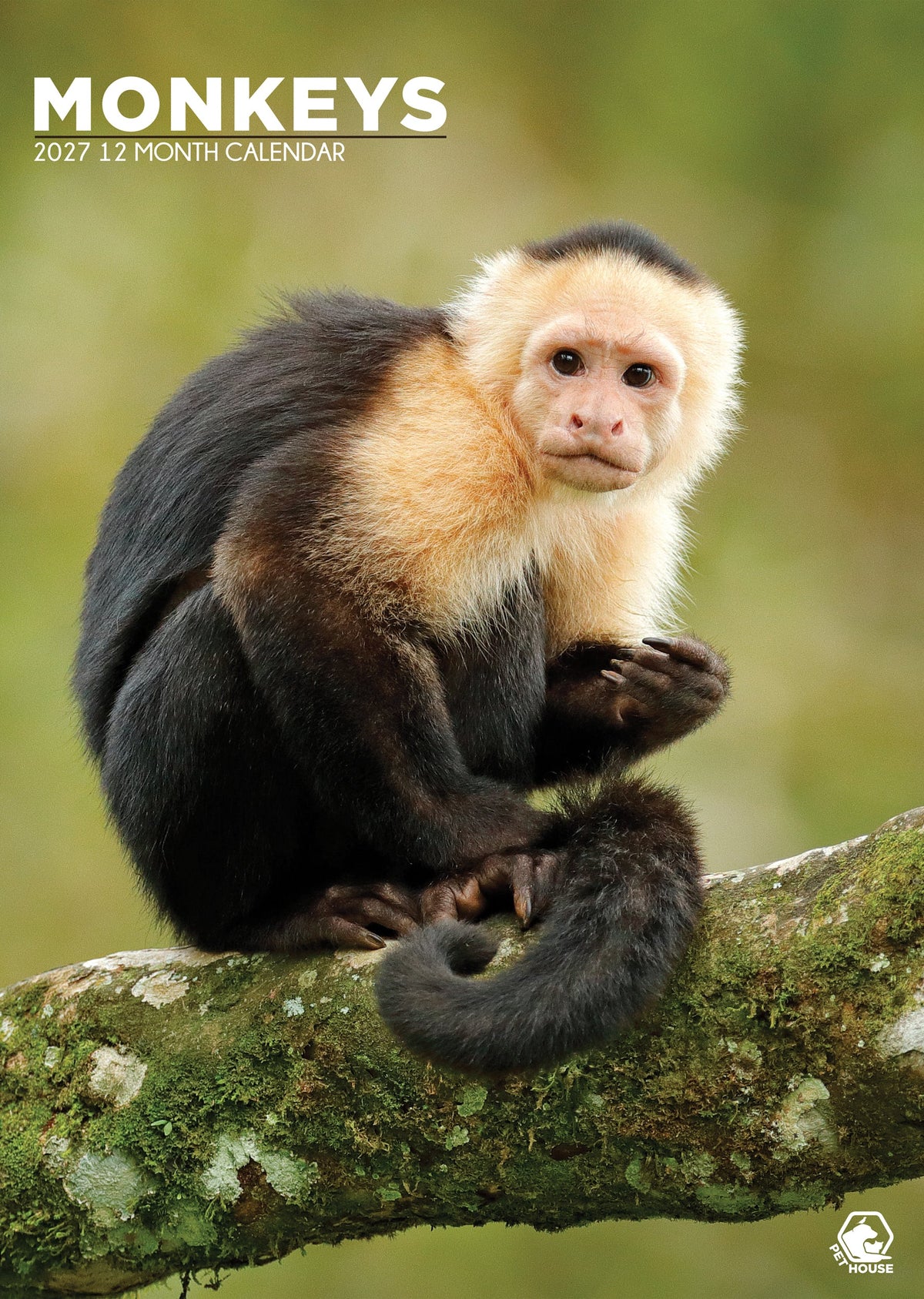 Monkeys - A3 Calendar 2027
