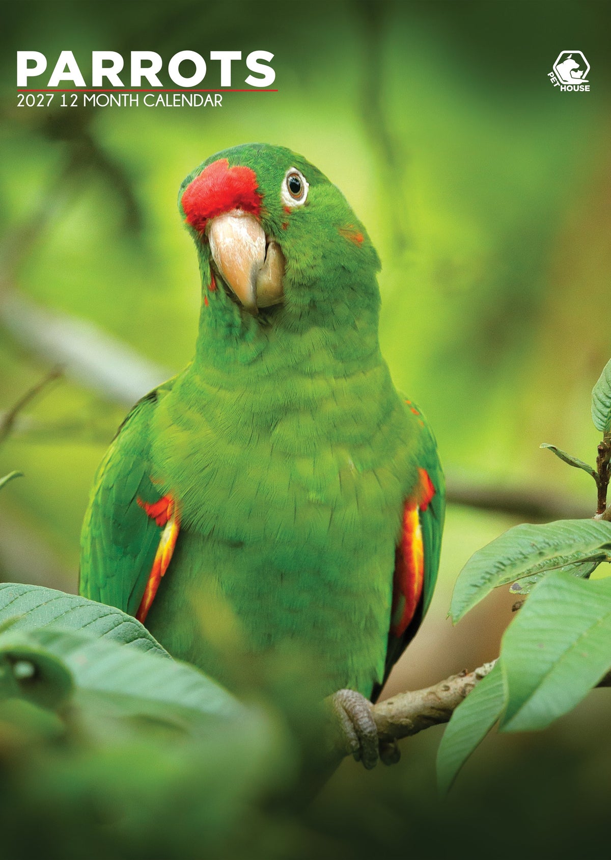 Parrots - Calendar 2027