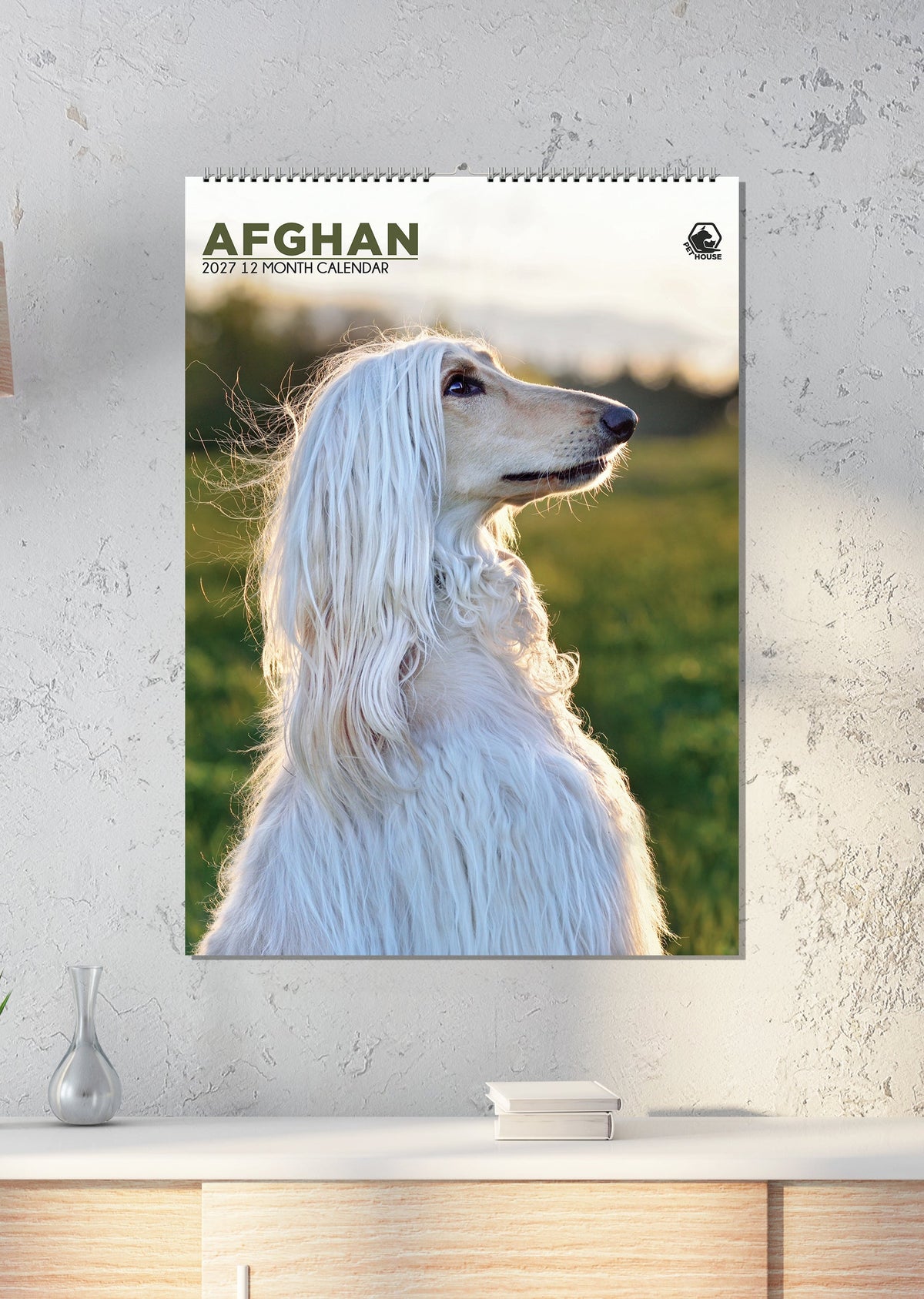 Afghan Hound - A3 Calendar 2027