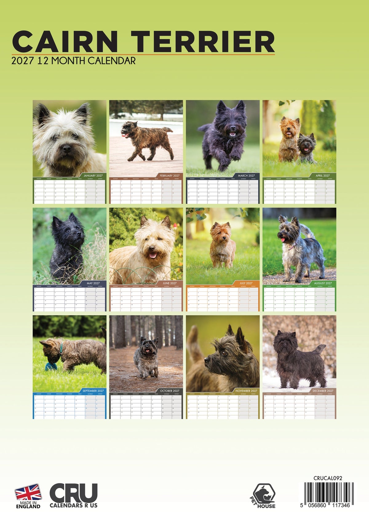 Cairn Terrier - A3 Calendar 2027