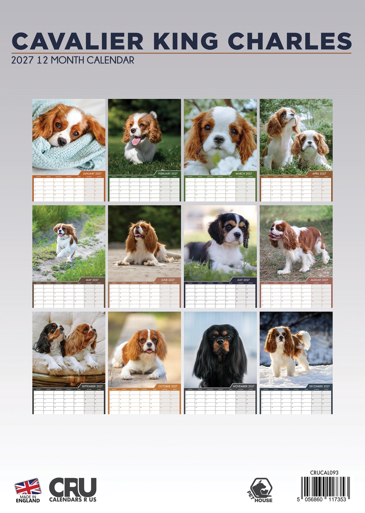 Cavalier King Charles - A3 Calendar 2027
