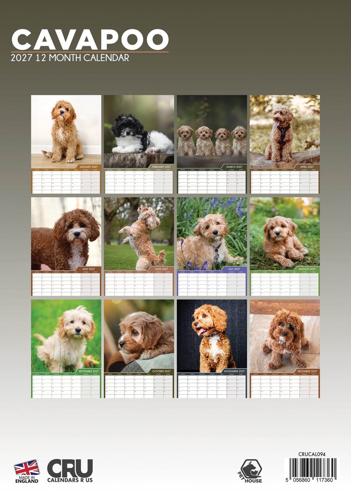 Cavapoo - A3 Calendar 2027