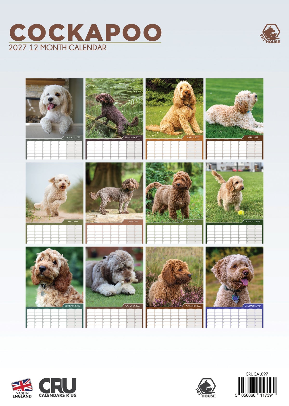 Cockapoo - A3 Calendar 2027