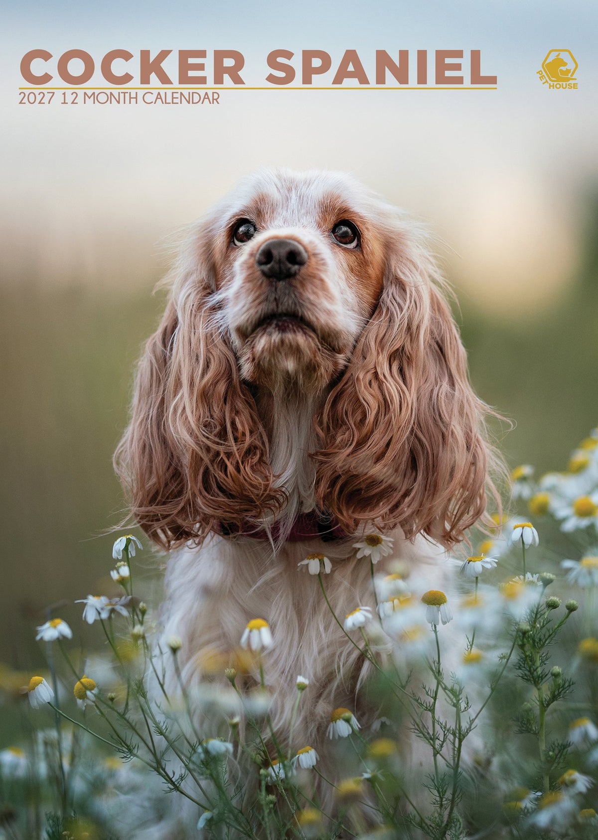 Cocker Spaniel - A3 Calendar 2027