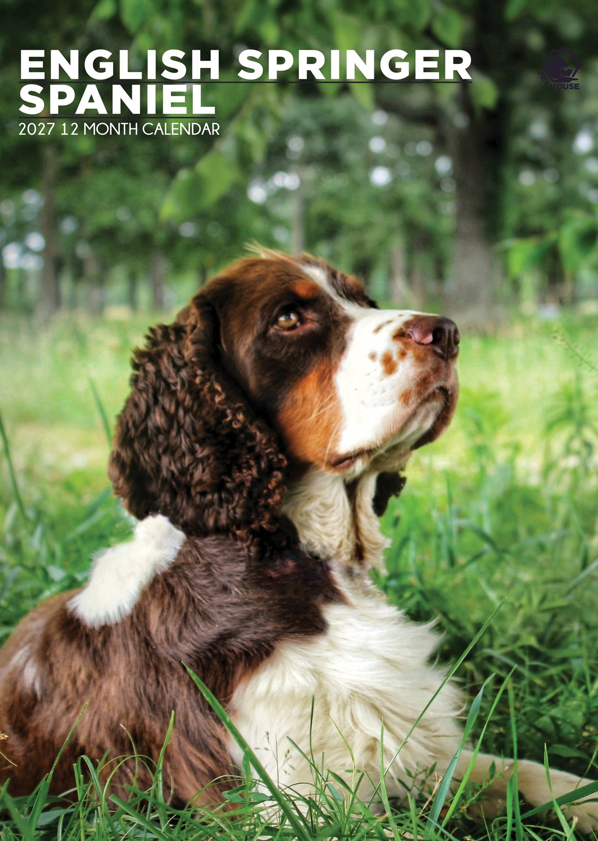 English Springer Spaniel - A3 Calendar 2027