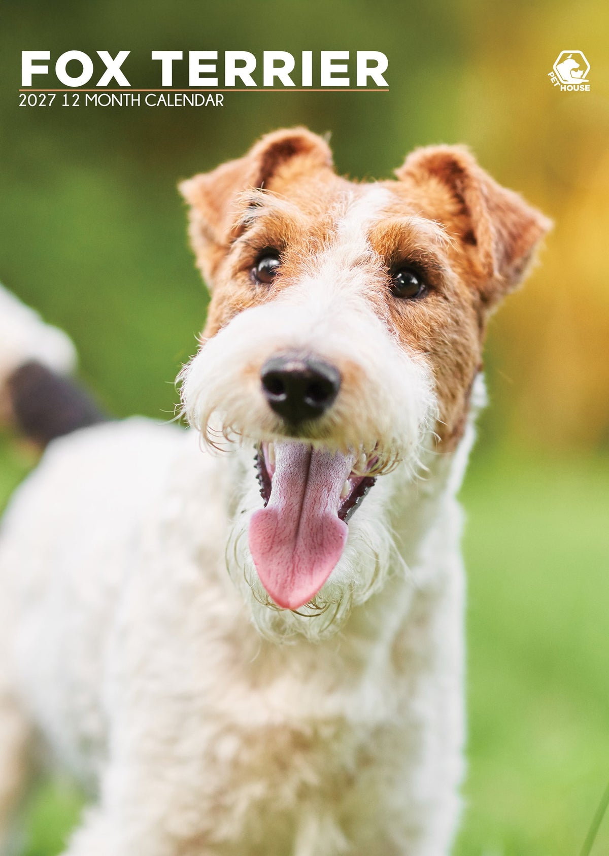 Fox Terrier - A3 Calendar 2027