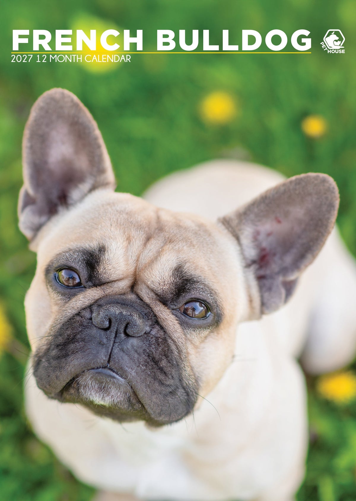 French Bulldog - A3 Calendar 2027